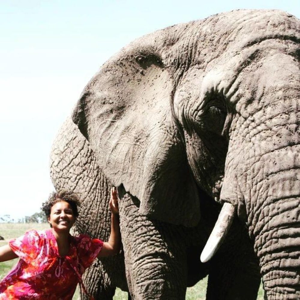 9520F0DD-4AC9-49C9-8FB3-906D0B3C039C